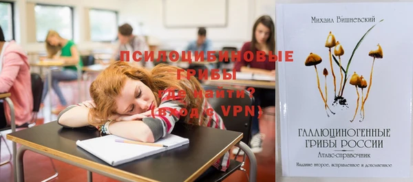 соль ск Абинск