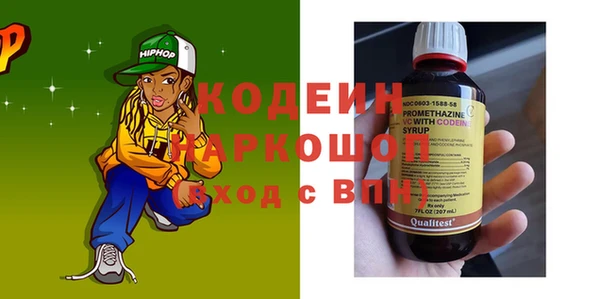 ПСИЛОЦИБИНОВЫЕ ГРИБЫ Арсеньев
