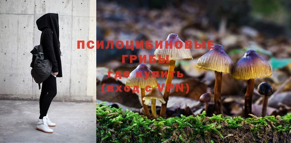 спайс Аркадак
