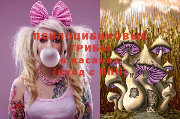 амф Абаза
