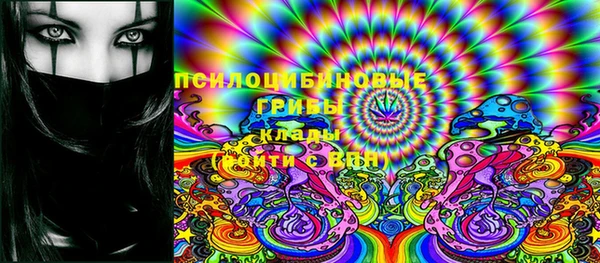 индика Армянск