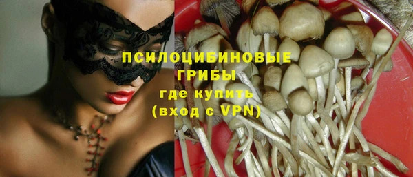 амф Абаза